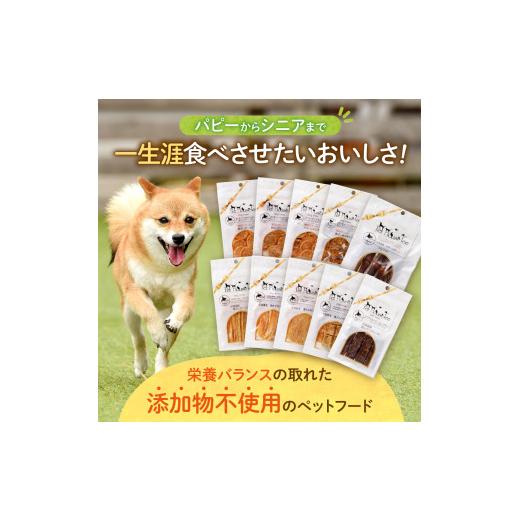 ふるさと納税 乾物 北海道 札幌市 定期便４回 ワンちゃん大喜び 北海道産地鶏と野菜の完全無添加ジャーキーセット（５種類×２袋）_2