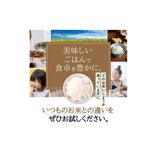 ふるさと納税 広島県 東広島市 【定期便】 【令和5年産】 広島県産 お米マイスター厳選米  【出荷直前精米】 15kg(5kg×3回）｜furusatochoice｜03