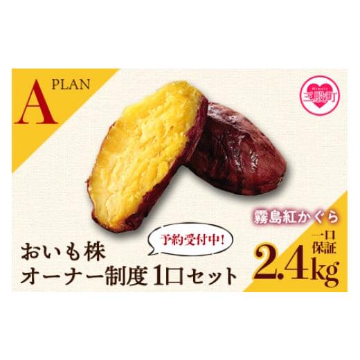 ふるさと納税 野菜類 サツマイモ 宮崎県 三股町 期間限定 先行予約 A おいも株オーナー制度1口セット2株 霧島紅かぐら(最低2.4kg保証) 2026年12月中旬頃に…