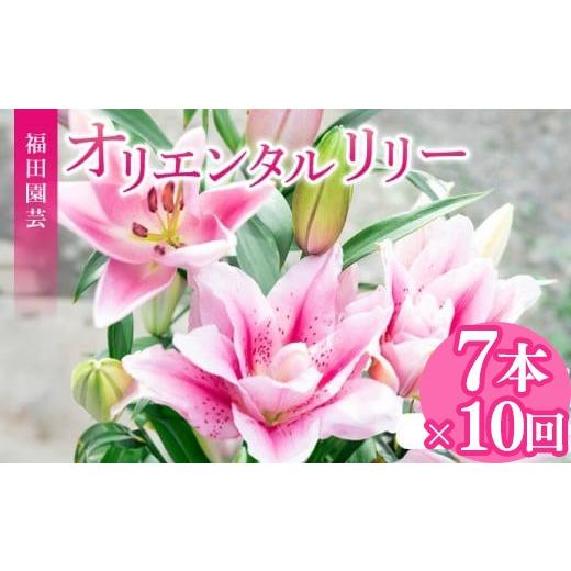 ふるさと納税 雑貨・日装具 花 高知県 安芸市 定期便10回 小ゆり オリエンタルリリー 7本 花 差し上げ物 差し上げ物 切り花 大輪 芳ばしさ 御膳上等 蕾 さくら色 白 福田園…