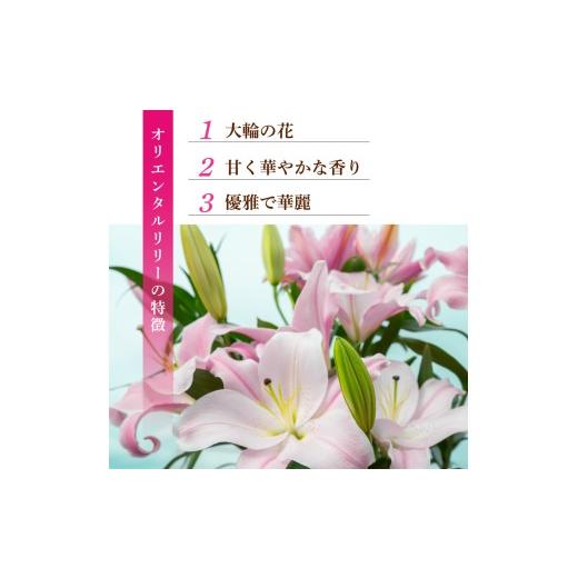 ふるさと納税 雑貨・日装具 花 高知県 安芸市 定期便10回 小ゆり オリエンタルリリー 7本 花 差し上げ物 差し上げ物 切り花 大輪 芳ばしさ 御膳上等 蕾 さくら色 白 福田園…