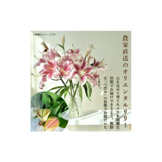 ふるさと納税 雑貨・日装具 花 高知県 安芸市 定期便10回 小ゆり オリエンタルリリー 7本 花 差し上げ物 差し上げ物 切り花 大輪 芳ばしさ 御膳上等 蕾 さくら色 白 福田園…