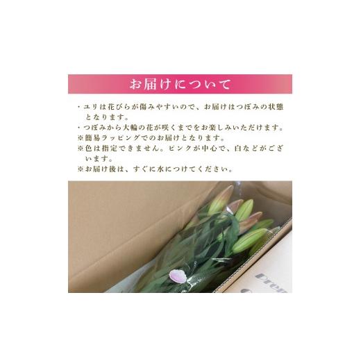 ふるさと納税 雑貨・日装具 花 高知県 安芸市 定期便10回 小ゆり オリエンタルリリー 7本 花 差し上げ物 差し上げ物 切り花 大輪 芳ばしさ 御膳上等 蕾 さくら色 白 福田園…