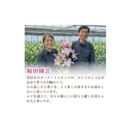 ふるさと納税 雑貨・日装具 花 高知県 安芸市 定期便10回 小ゆり オリエンタルリリー 7本 花 差し上げ物 差し上げ物 切り花 大輪 芳ばしさ 御膳上等 蕾 さくら色 白 福田園…