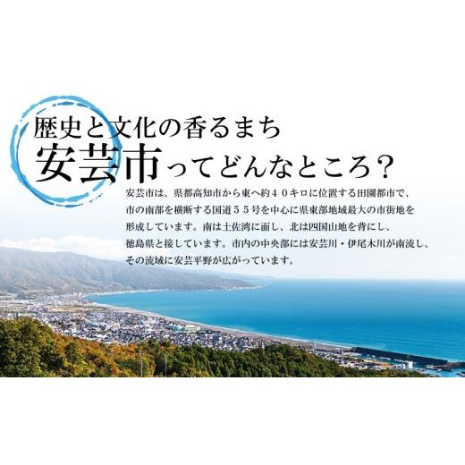 ふるさと納税 雑貨・日装具 花 高知県 安芸市 定期便10回 小ゆり オリエンタルリリー 7本 花 差し上げ物 差し上げ物 切り花 大輪 芳ばしさ 御膳上等 蕾 さくら色 白 福田園…
