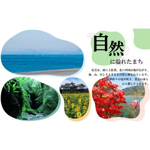 ふるさと納税 雑貨・日装具 花 高知県 安芸市 定期便10回 小ゆり オリエンタルリリー 7本 花 差し上げ物 差し上げ物 切り花 大輪 芳ばしさ 御膳上等 蕾 さくら色 白 福田園…