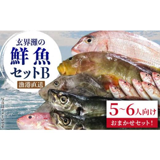 ふるさと納税 旬の鮮魚等 福岡県 糸島市 3枚おろし希望しない 福吉漁港直送 玄界灘の鮮魚セットB (5,6人向け) [糸島] 福ふくの里 ALD002-2 3枚おろし希望…