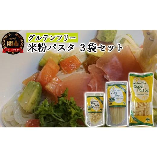 ふるさと納税 パスタ 乾めん 岐阜県 関市 G5-02 グルテンフリー ライスパスタ3袋セット S2 （サラダスパゲッティ、マカロニ、アルファベットパスタ） 米粉パス…
