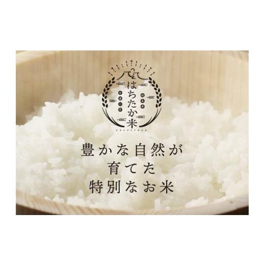 ふるさと納税 岐阜県 中津川市 【定期便】プレミアム米「はちたか米」 5kg×12ヶ月分 100-001 米、ごはん