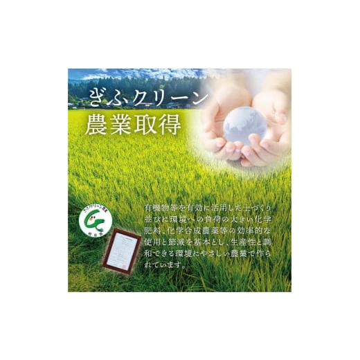 ふるさと納税 岐阜県 中津川市 【定期便】プレミアム米「はちたか米」 5kg×12ヶ月分 100-001 米、ごはん