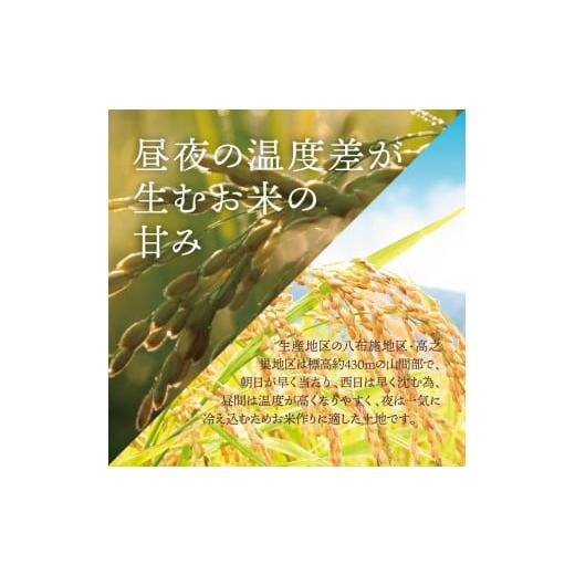 ふるさと納税 岐阜県 中津川市 【定期便】プレミアム米「はちたか米」 5kg×12ヶ月分 100-001 米、ごはん