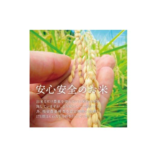 ふるさと納税 岐阜県 中津川市 【定期便】プレミアム米「はちたか米」 5kg×12ヶ月分 100-001 米、ごはん