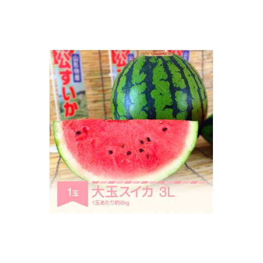 ふるさと納税 スイカ 山形県 村山市 先行予約 すいか 大玉 3L×1玉入り 令和8年産 山形県村山市産 mk-su3xx1