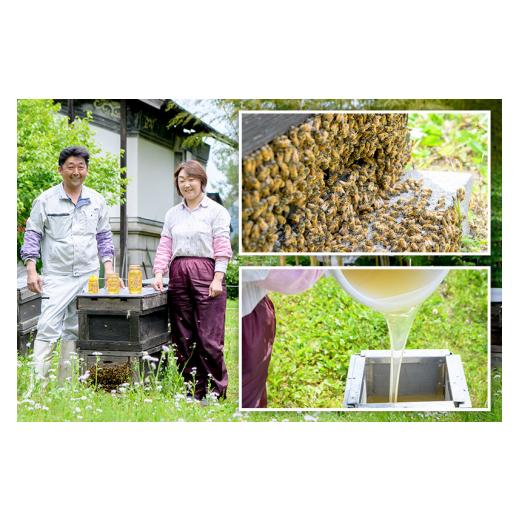 ふるさと納税 加工品等 はちみつ 秋田県 仙北市 秋田県産はちみつ（トチ・リンゴ・百花）500g×各1本 合計1.5kg 化粧箱入り 詰め合わせセット 田沢湖養蜂場の画像
