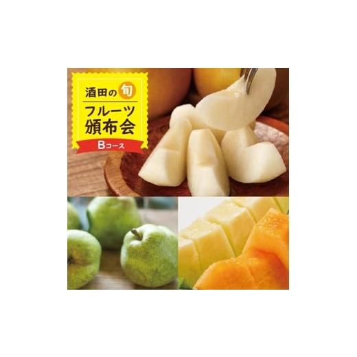 ふるさと納税 メロン メロン青肉 山形県 酒田市 3回定期便 酒田の季節のフルーツ頒布会Bコース 2026 7月上旬〜8月上旬 プレミアムメロン 8月下旬〜10月上旬 …