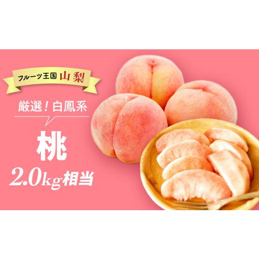 ふるさと納税 もも 山梨県 甲斐市  （2026年／令和8年）発送 先行予約 “厳選” 白鳳系 「桃」 2.0kg相当 山梨 桃 先行予約 先行 予約 山梨県産 産地直送 フル…の画像