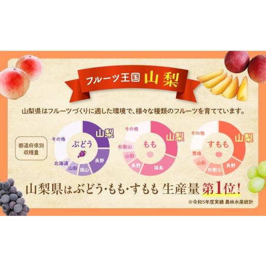 ふるさと納税 もも 山梨県 甲斐市  （2026年／令和8年）発送 先行予約 “厳選” 白鳳系 「桃」 2.0kg相当 山梨 桃 先行予約 先行 予約 山梨県産 産地直送 フル…の画像