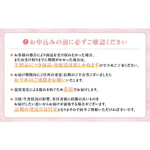 ふるさと納税 もも 山梨県 甲斐市  （2026年／令和8年）発送 先行予約 “厳選” 白鳳系 「桃」 2.0kg相当 山梨 桃 先行予約 先行 予約 山梨県産 産地直送 フル…の画像