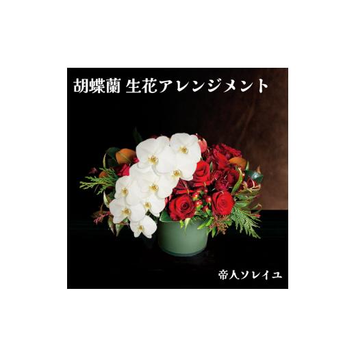 海外品 ふるさと納税 千葉県 我孫子市 【帝人ソレイユ】006（コ）胡蝶蘭　生花アレンジメント 【QGW7750641005】(27300円)