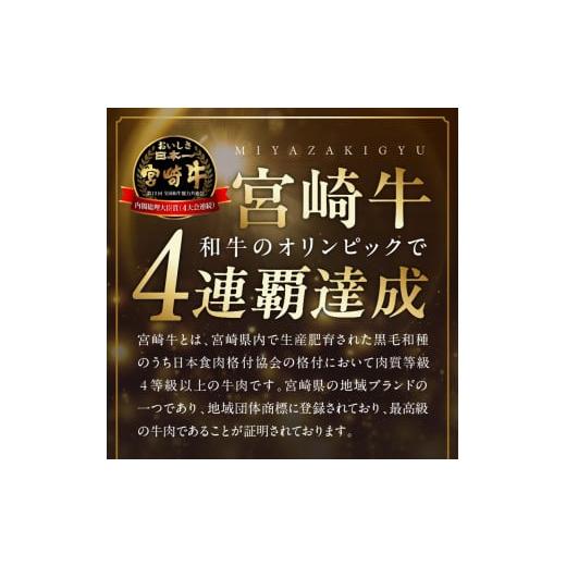 ふるさと納税 牛肉 宮崎県 延岡市 宮崎産牛豚鶏バラエティ12ヵ月定期便 N061-YZH022