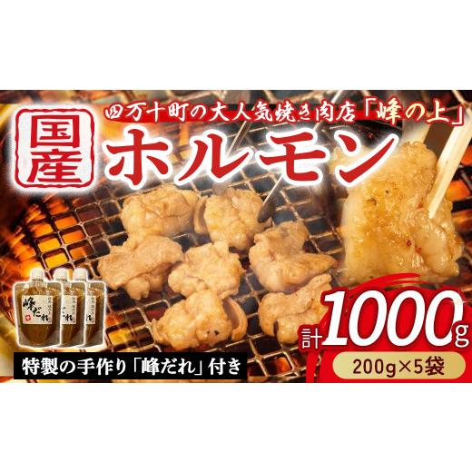 ふるさと納税 モツ鍋 高知県 四万十町 大人気焼肉屋さんのご家庭で簡単 モツ焼き肉セット1000g　Amu-A03 ホルモン もつ 国産 焼肉 国産ホルモン 牛ホルモン も…_1