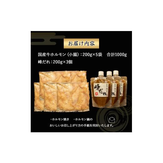 ふるさと納税 モツ鍋 高知県 四万十町 大人気焼肉屋さんのご家庭で簡単 モツ焼き肉セット1000g　Amu-A03 ホルモン もつ 国産 焼肉 国産ホルモン 牛ホルモン も…_5