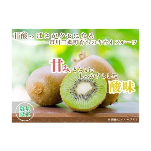 ふるさと納税 果物類 山梨県 市川三郷町 山梨県産 キウイフルーツ(ヘイワード) キウイ 約2キロ(20〜24玉)秋山農園