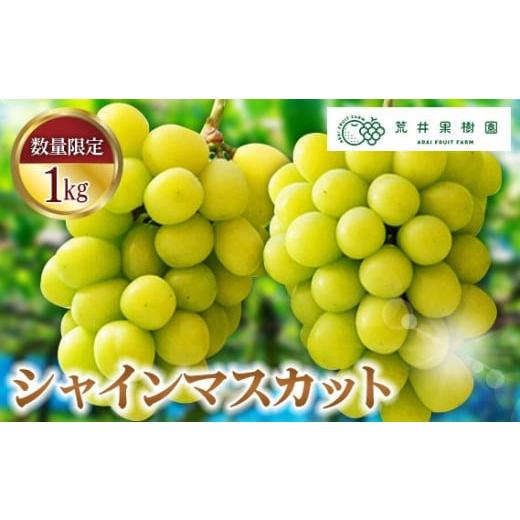 ふるさと納税 ぶどう マスカット 埼玉県 鴻巣市 先行予約 荒井果樹園のシャインマスカット 約1kg / 葡萄 ぶどう ブドウ フルーツ 果物 1000g 2房 数量限定 …