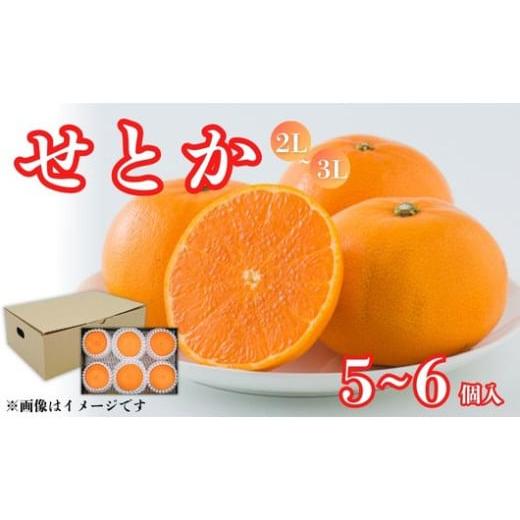 ふるさと納税 みかん・柑橘類 愛媛県 愛南町 先行予約 せとか 2L〜3Lサイズ 5〜6個入 発送期間: 2月上旬〜2月下旬 柑橘 みかん 蜜柑 冬 みきゃん プレゼント …