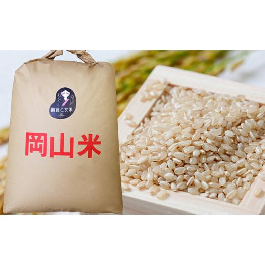 ふるさと納税 岡山県 岡山市 石原果樹園の備前乙女米 玄米 30kg×1袋 お米 ライス 乳酸菌栽培 岡山県 [No.5220-0759] 岡山県 岡山市 玄米