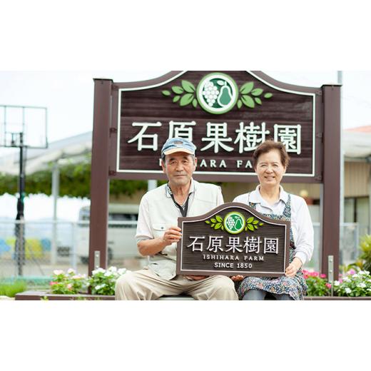 ふるさと納税 岡山県 岡山市 石原果樹園の備前乙女米 玄米 30kg×1袋 お米 ライス 乳酸菌栽培 岡山県 [No.5220-0759] 岡山県 岡山市 玄米