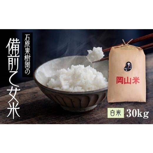 ふるさと納税 米 岡山県 岡山市 令和7年産 備前乙女米 白米 30kg (30kg×1袋) お米 精米 白米 ライス 乳酸菌栽培 岡山県 石原果樹園