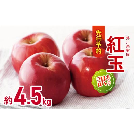ふるさと納税 りんご 長野県 松川村 2026年先行予約 訳あり 紅玉 約4.5kg | 外川果樹園 リンゴ りんご 林檎 果物 フルーツ 果実 果汁 紅玉 こうぎょく わけ…