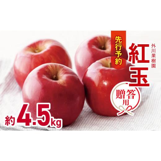 ふるさと納税 りんご 長野県 松川村 2026年先行予約 贈答用 紅玉 約4.5kg|外川果樹園 リンゴ りんご 林檎 果物 フルーツ 果実 果汁 紅玉 こうぎょく ギフト …
