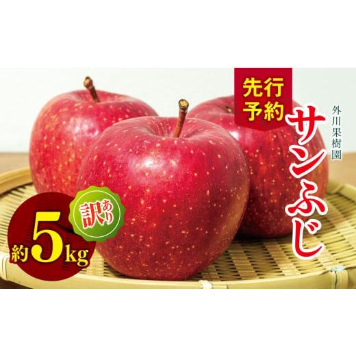 ふるさと納税 りんご 長野県 松川村 訳あり サンふじ 約5kg 2026年先行予約 | 外川果樹園 リンゴ りんご 林檎 果物 フルーツ 果実 果汁 サンふじ さんふじ 家…