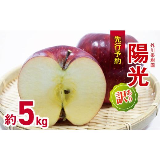ふるさと納税 りんご 長野県 松川村 2026年先行予約 訳あり 陽光 約5kg | 外川果樹園 リンゴ りんご 林檎 果物 フルーツ 果実 果汁 陽光 ようこう わけあり …
