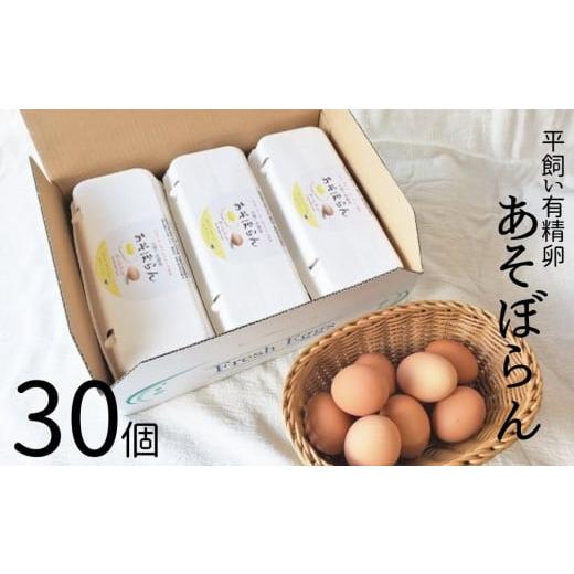 ふるさと納税 卵(鶏、烏骨鶏等) 三重県 熊野市 平飼い有精卵(あそぼらん) 30個 たまご タマゴ 玉子