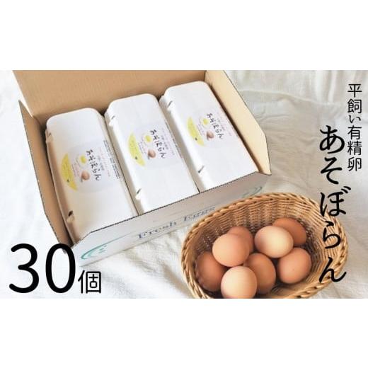 ふるさと納税 三重県 熊野市 平飼い有精卵(あそぼらん) 30個 たまご タマゴ 玉子