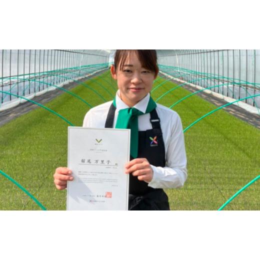 ふるさと納税 トマト ミニトマト 北海道 上富良野町  令和8年産 特別栽培＆JGAP認証農場 かみふらの産朝採れミニトマト1.5kg 野菜 キャロル10 野菜ソムリエ 特…_7