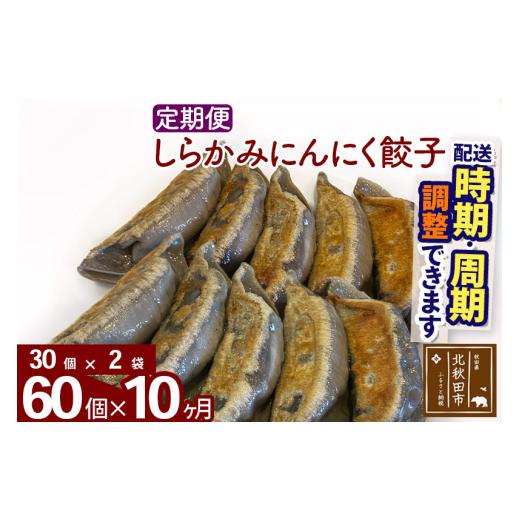 ふるさと納税 惣菜・レトルト 冷凍 秋田県 北秋田市  定期便10ヶ月 しらかみにんにく餃子 60個 (30個×2パック) お届け時期選べる 冷凍 秋田県産 国内産 豚肉 …_1