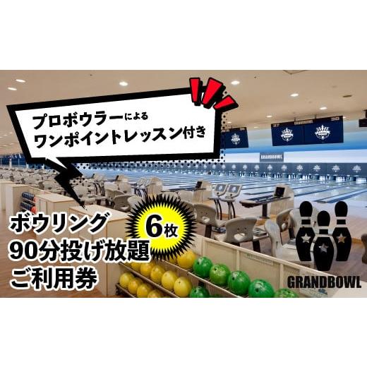 ふるさと納税 東京都 東大和市 プロボウラーによるワンポイントレッスン付き90分投げ放題券6枚