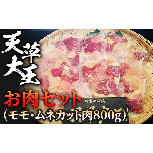 ふるさと納税 熊本県 球磨村 FKP9-335 天草大王 お肉セット(モモ・ムネカット肉800g)