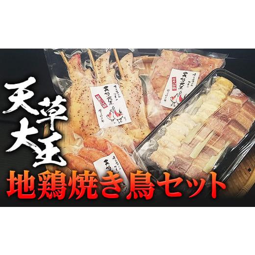 ふるさと納税 熊本県 球磨村 FKP9-340 天草大王 地鶏焼き鳥セット