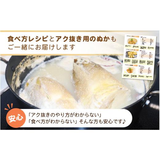 ふるさと納税 野菜類 福井県 越前町 令和8年産 赤土 朝掘り たけのこ 約2kg 越前町 宮崎地区産 採れたてを産地直送でお届け 筍 タケノコ 竹の子 生 2026年4月…_4