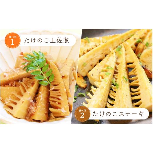 ふるさと納税 野菜類 福井県 越前町 令和8年産 赤土 朝掘り たけのこ 約2kg 越前町 宮崎地区産 採れたてを産地直送でお届け 筍 タケノコ 竹の子 生 2026年4月…_5