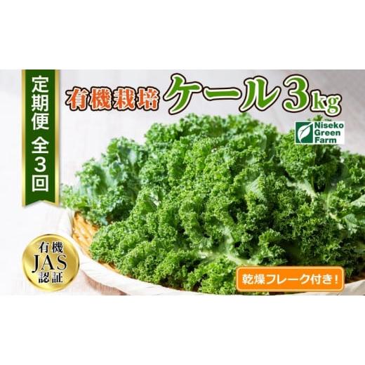ふるさと納税 野菜類 北海道 倶知安町 2026年発送 北海道 定期便 3ヵ月連続3回 北海道 有機栽培 ケール 1kg 乾燥フレーク付 オーガニック 有機野菜 緑黄色野…