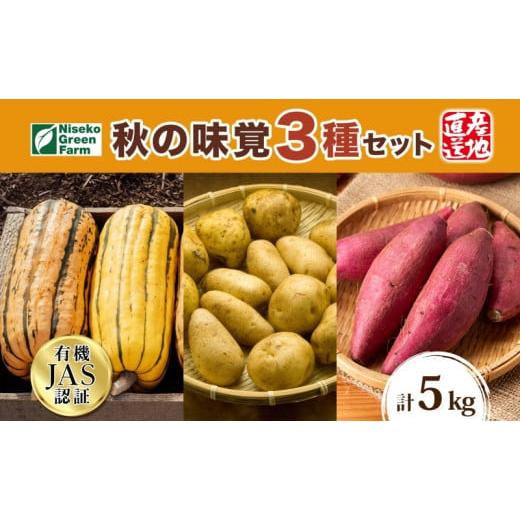 ふるさと納税 野菜類 じゃがいも 北海道 倶知安町 2026年発送 北海道 オーガニック 秋の味覚 じゃがいも 玉ねぎ さつまいも 約10kg 札幌黄 キタアカリ 馬鈴薯…
