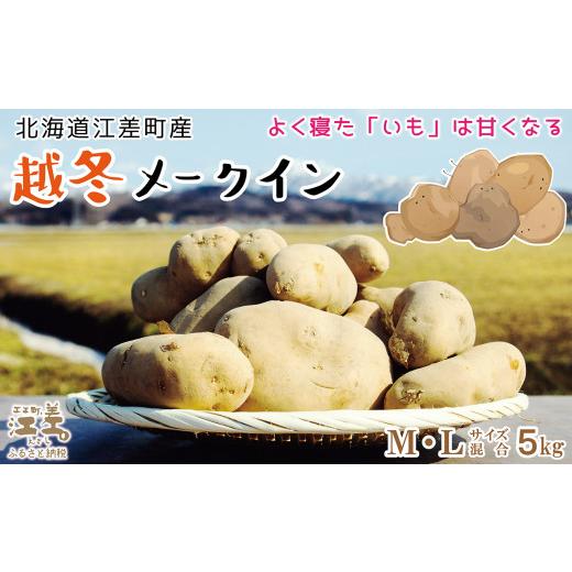 ふるさと納税 野菜類 じゃがいも 北海道 江差町 北海道産 越冬メークイン M・L混合 5kg 訳あり 低温熟成 糖度アップ 農家直送 越冬じゃがいも 越冬いも…