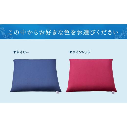 ふるさと納税 福岡県 大刀洗町 エアウィーヴ 座布団 ネイビー 幅46cm