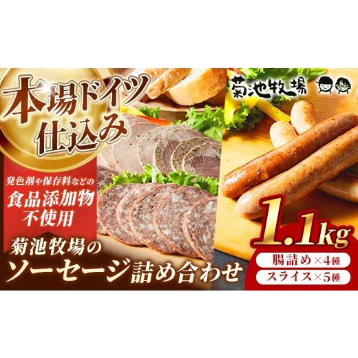 ふるさと納税 肉 ソーセージ 岩手県 岩手町 ソーセージ詰め合わせ1.1kg セット 無添加 ウインナー ウィンナー 豚肉 おつまみ おかず 価格改定 岩手町「菊池牧…